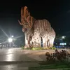 user6812000698806