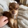 daddysquirrel74