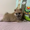 lala.machado0