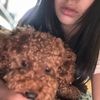 lilyyeea0