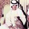 sh_ooq22