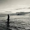 micasemb_
