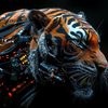 feline0127