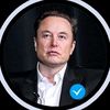 elon_m.usk74