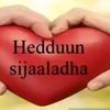 nadin.habib