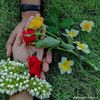 user1306162396900