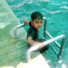 shahzadiqbal8198