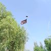 ali.nawaz13807