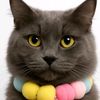 ballnaturehome