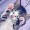 ribb0nc_pinky