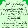 user85405716128