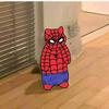 spiderpaterpaker