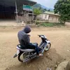 duy.tai7