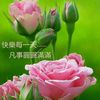 hng.thanh0775