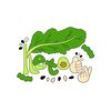 คีโตดิ๊ - Ketody