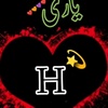 hayatullah.safi31