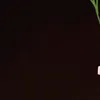..gkhbjdn