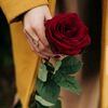 user9309872534217