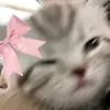 lowelamusa_