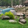 makni2877