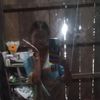 user57568859656117