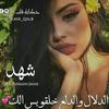 shahd73681