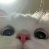 ngthanhhang_97