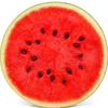 watermelouns04