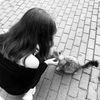 938_rawan