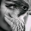 rodee.ahmed