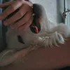 my_cuteroutine