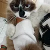 clara_09652
