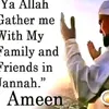 ibrahim.rashid37