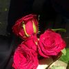 inrahimawais.09
