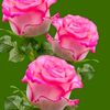 youssefmarrzok