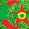 biftuoromo6