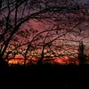 nieznane_28