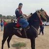 amine.gamilouz