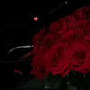 sh_hd2346