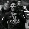 tavinkkj10