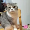 droga_mleczna_212
