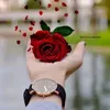 user9331279882273