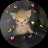 urfavlilss00