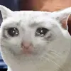 ceu7_4