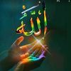 user961jghb