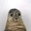 loleeemar