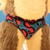 HuskyWearsUndies