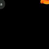 melx_557