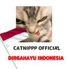 catnippp.dsgn_30