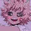 itsnotcat2
